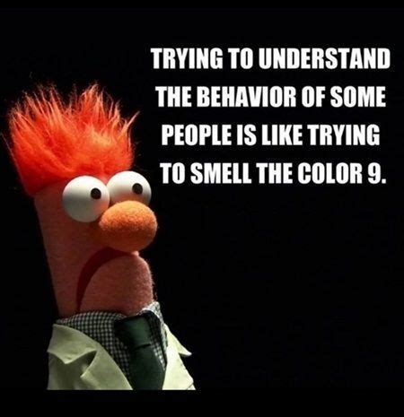 Beaker muppet Memes