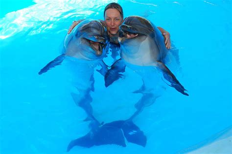 Swimming with Dolphins in Sharm El-Sheikh - TOUREX EGYPT