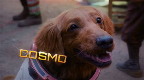 Meet Cosmo the Spacedog from Guardians of the Galaxy Holiday Special