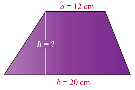 Area of a Trapezoid Definition, Examples, Facts & Formula- Cuemath