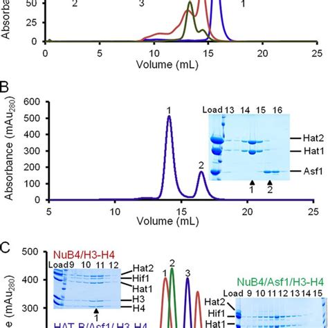 Preparation of Hat1, histone chaperones, and their complexes. Proteins ...