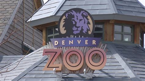 Denver Zoo Wants To Increase Admission Fees – CBS Denver