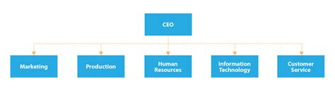 Creating an Organizational Structure – Mastering Strategic Management ...