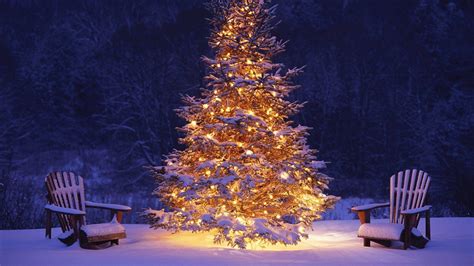 Christmas Tree Wallpapers - Wallpaper Cave