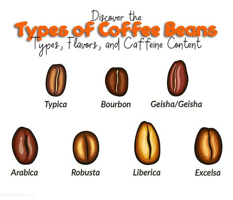 Types of Coffee Beans: Types, Flavors, and Caffeine Content Peaberry ...