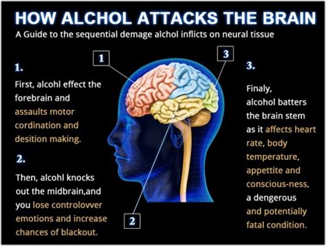 Alcohol Effects, Intoxication And Alcoholism - Health And Medical ...