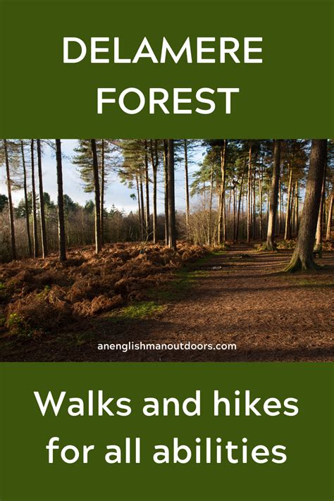 Delamere forest walks for 2022 – Artofit