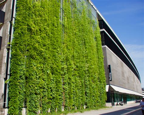 Green walls are essentially a living cladding system