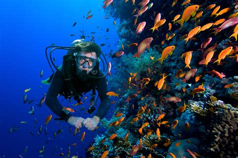 Mengulik Potensi Wisata Bahari Indonesia yang Sangat Kaya