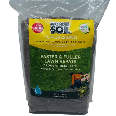 Best Grass Seed for Clay Soil: Say Goodbye to Patchy Lawns