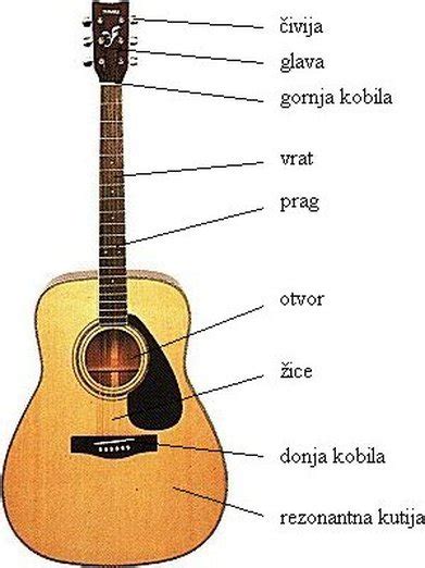 Podela Delova Gitara Javni Sajt