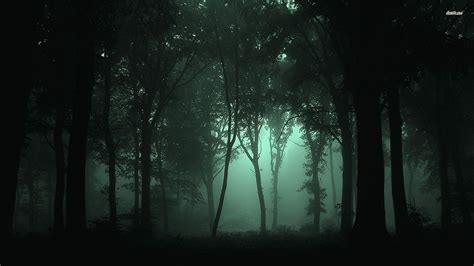 Dark Green Forest Wallpapers - Wallpaper Cave