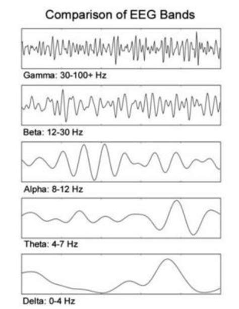 This Frequency bands of EEG signal. Quoted... | Download Scientific Diagram