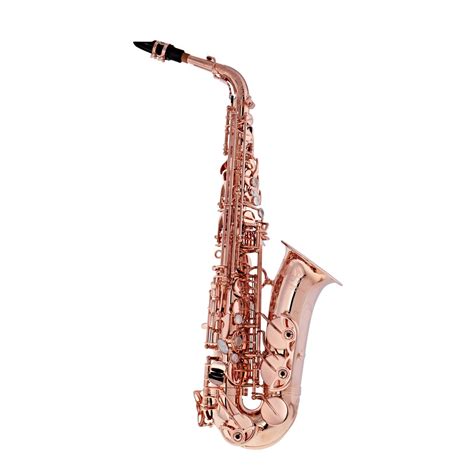 10 Best Saxophone Brands In 2024: Comprehensive Guide