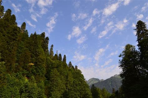 Abkhazia. Beautiful nature stock photo. Image of lake - 191715596