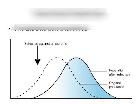 Natural Selection Diagram | Quizlet