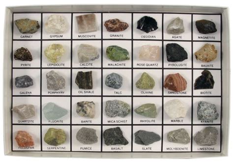 Rocks and Minerals of the U.S. Basic Collection (35 pcs.) | Scott ...