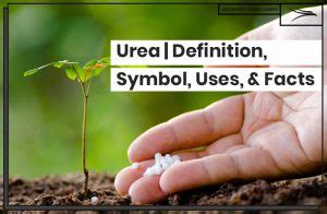 Urea | Definition, Symbol, Uses, & Facts | Amoot Iranian Trading Company