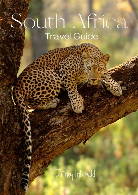 South Africa Travel Guide - Adventure Family Journal