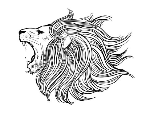 Lion side face drawing is roaring. Vector design illustration. 33044912 ...