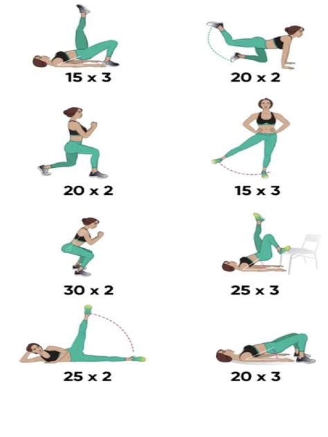 Daily Exercises For Beginners | PDF