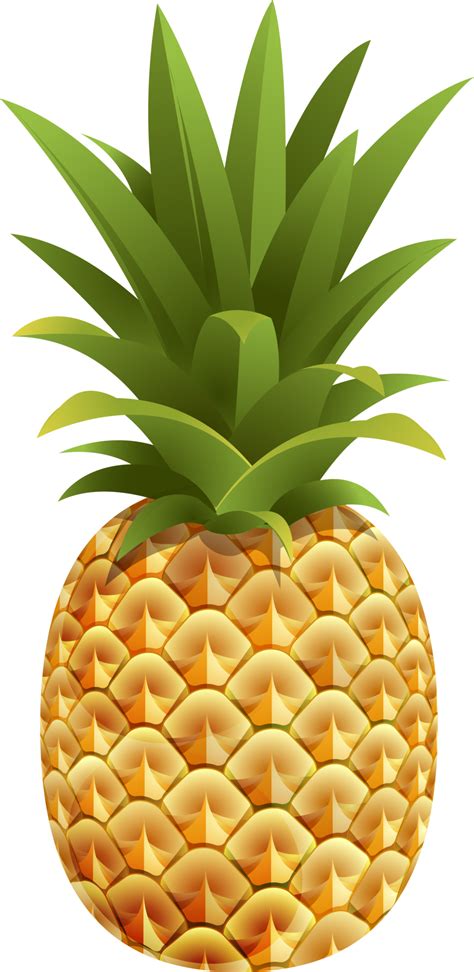 Pineapple color illustration 18926712 PNG