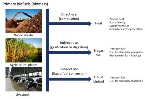 Biofuel · Energy KnowledgeBase