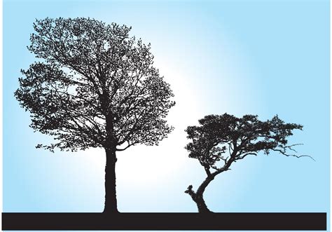 Tree Silhouette Vectors - Download Free Vector Art, Stock Graphics & Images