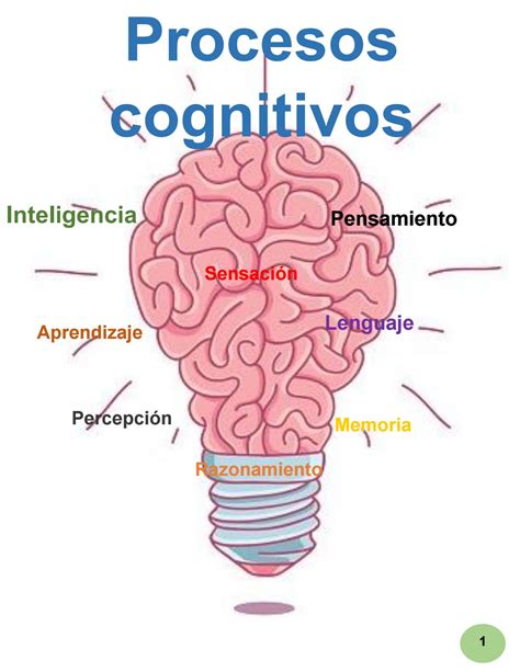 Procesos Cognitivos Superiores