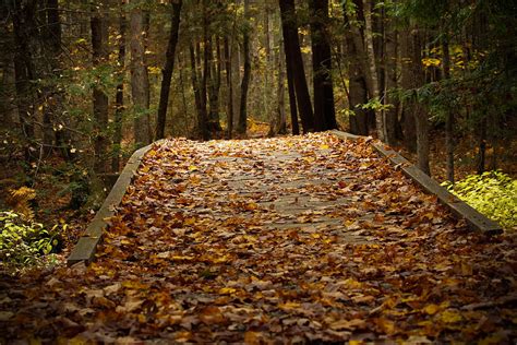 Autumn Bridge Photograph by Kirkodd Photography Of New England - Fine ...