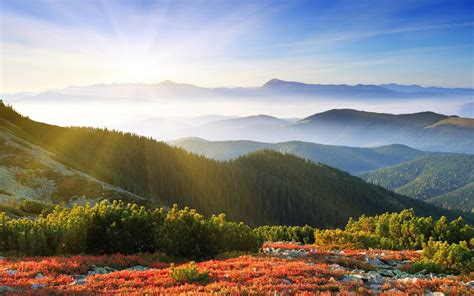 trees, Landscape, Nature, Mountain, Sky Wallpapers HD / Desktop and ...