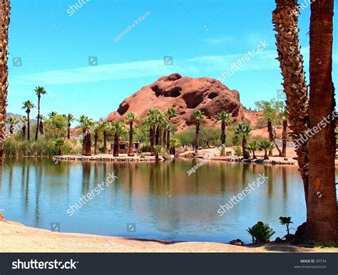 Oasis Arizona Desert Stock Photo 39734 | Shutterstock