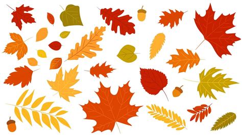 Autumn Leaves Vector Art, Icons, and Graphics for Free Download