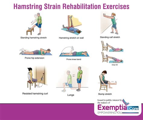 Hamstring Strain Exercises