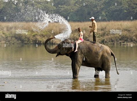 Elephant Spraying Water