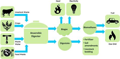 Biogas – Samaiden