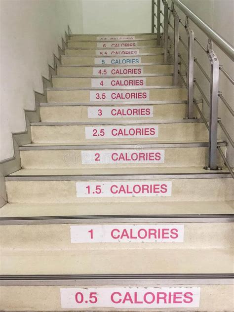 Stair Climber Workout Calories Burned | EOUA Blog