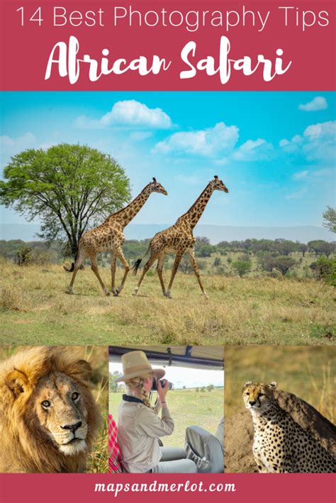 14 Outstanding African Safari Photography Tips - Maps & Merlot