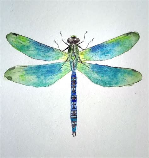 watercolor dragonfly painting | Dragonfly painting, Watercolor ...