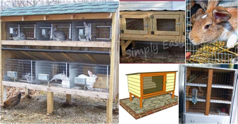 rabbit - animal: Rabbit Hutch Plans Diy