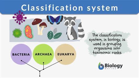 Classification system - Definition and Examples - Biology Online Dictionary