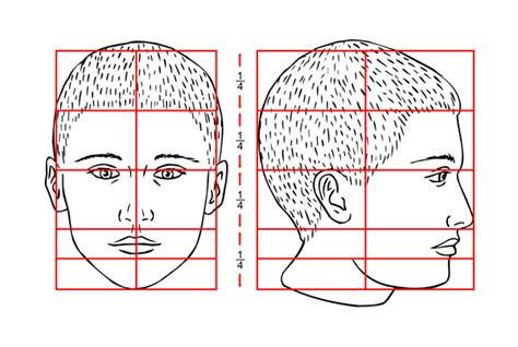 How To Draw Proportions Of The Face - Gameclass18