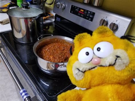 So my sister made Garfield lasagna : garfield