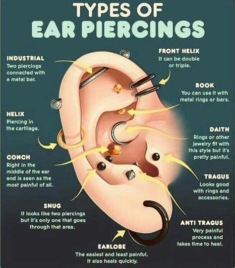 Ear Piercing Names Diagram Piercing Ear Chart Piercings Diag