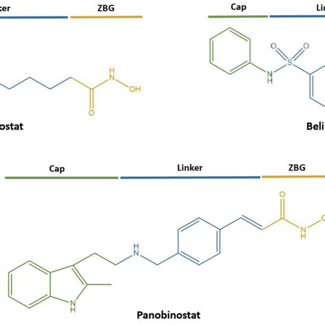 FDA-approved histone deacetylase inhibitors (HDACi) for the treatment ...