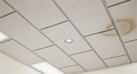 Office Ceiling Tiles Material | Shelly Lighting