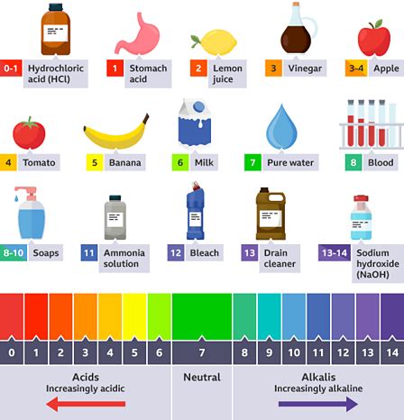 Gastric Acid Ph