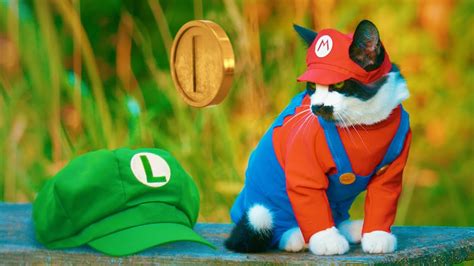 What If Mario Was an Overall-wearing Kitty Cat?