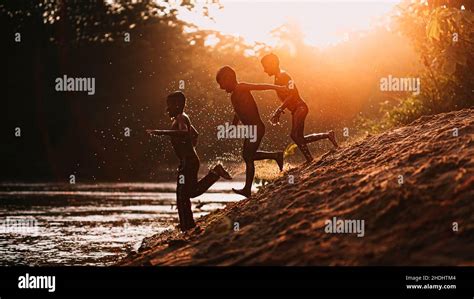 Amazon Rainforest, Ecuador Stock Photo - Alamy