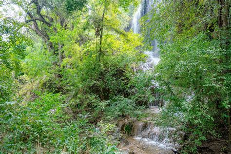 How to Hike the Gorman Falls Trail in Colorado Bend State Park